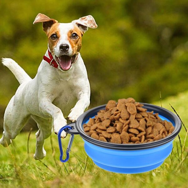 Collapsible Dog Bowl